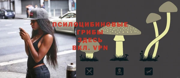 прущая мука Богородицк