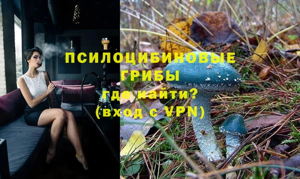прущая мука Богородицк