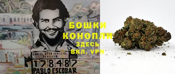 трава Богданович