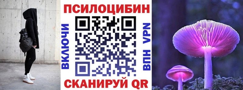 даркнет официальный сайт  где купить наркотик  Дальнегорск  Галлюциногенные грибы MAGIC MUSHROOMS  mega ссылка 