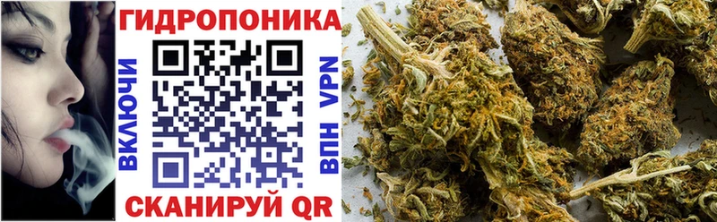 Бошки Шишки LSD WEED  магазин продажи наркотиков  Дальнегорск 